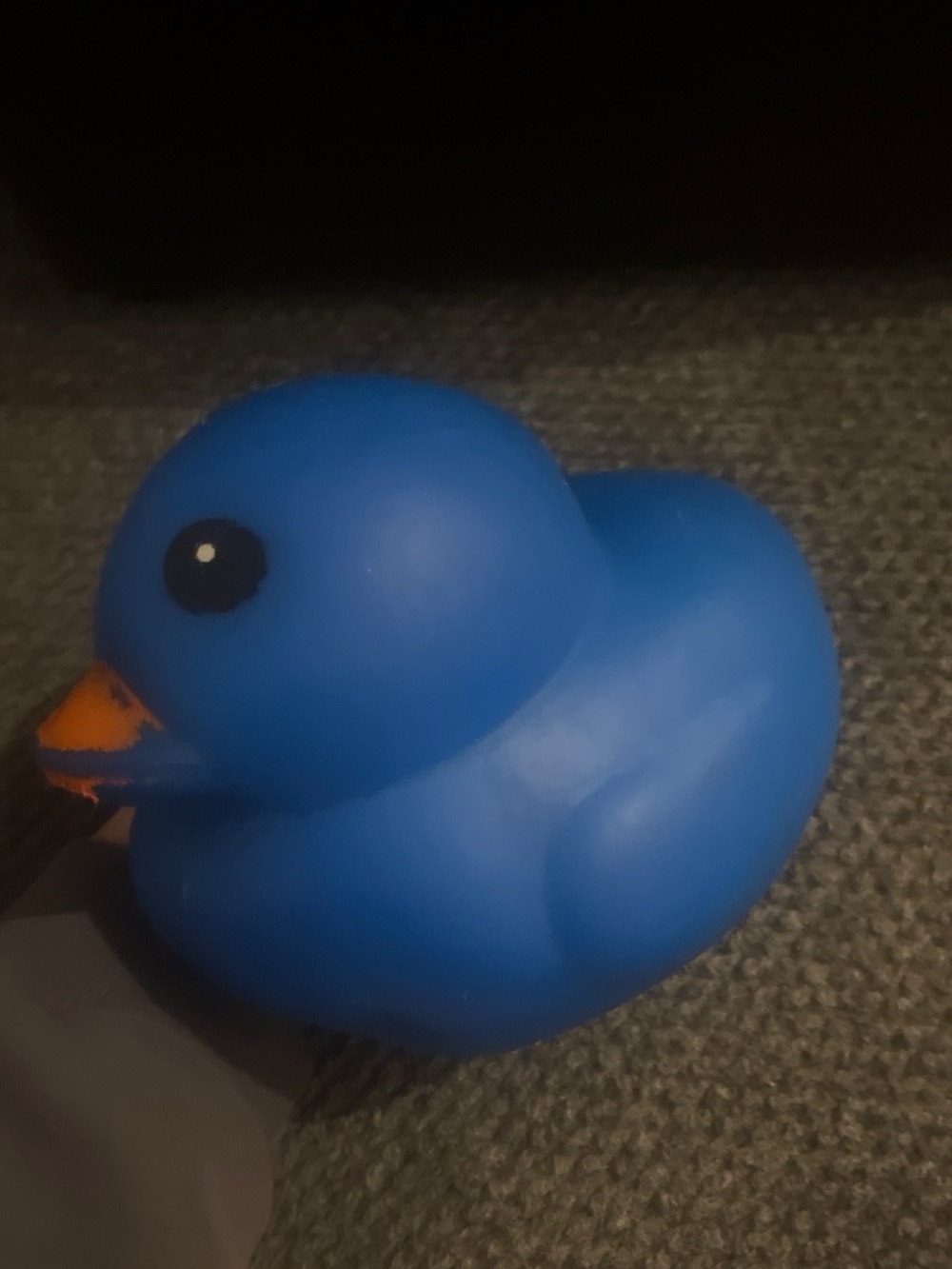 Duck squishy